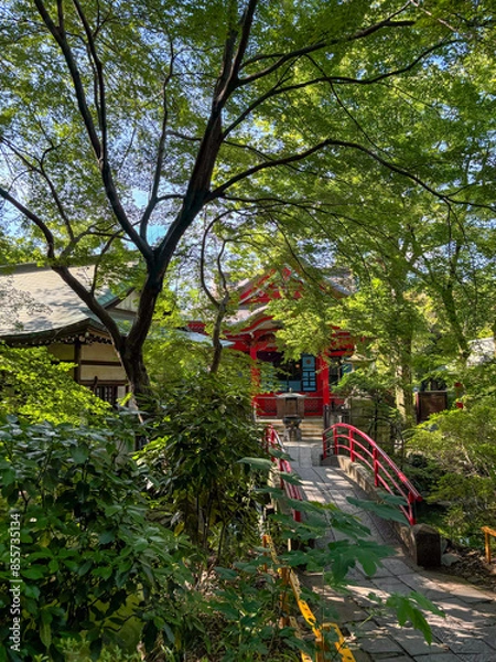 Obraz 井の頭弁財天