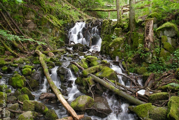 Obraz Teufelsmühle, Rhön
