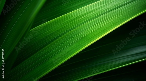 Fototapeta Abstract Green Palm Leaves Pattern Creating a Lush Tropical Background. Generative AI