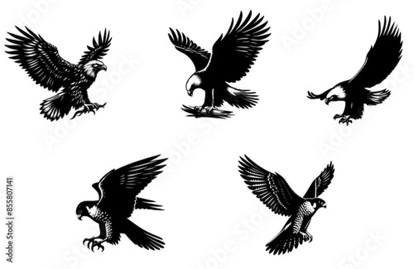 Obraz eagle vector set
