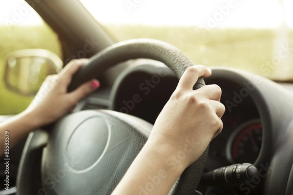 Obraz Driving