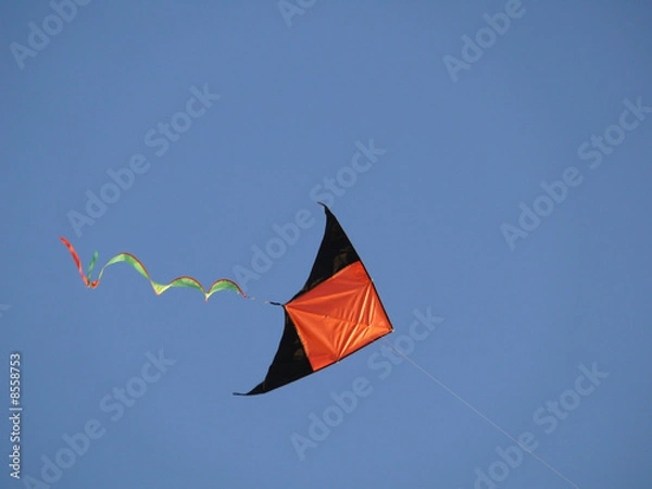 Fototapeta kite