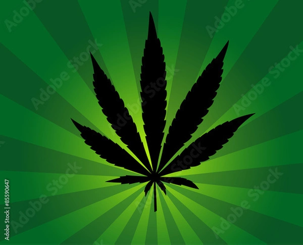 Obraz Cannabis leaf background vector