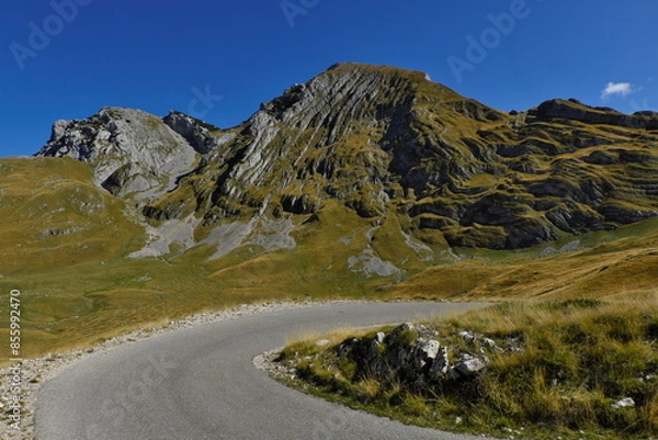 Obraz Landscape with road and mountains