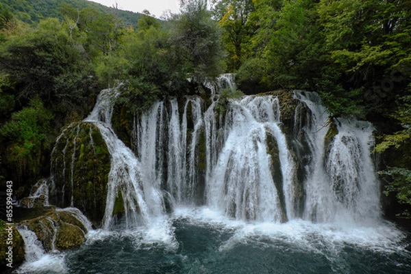 Obraz waterfall in the forest