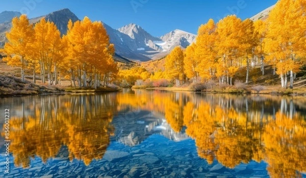 Fototapeta A tranquil mountain lake surrounded by golden aspen trees reflecting on the water's surface, under a crisp, clear autumn sky