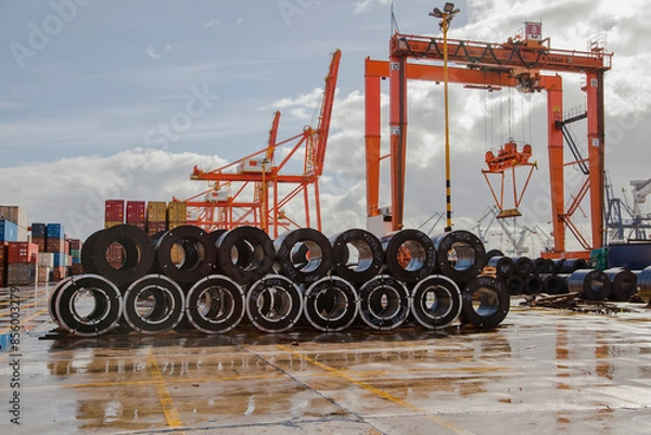 Obraz site with cranes