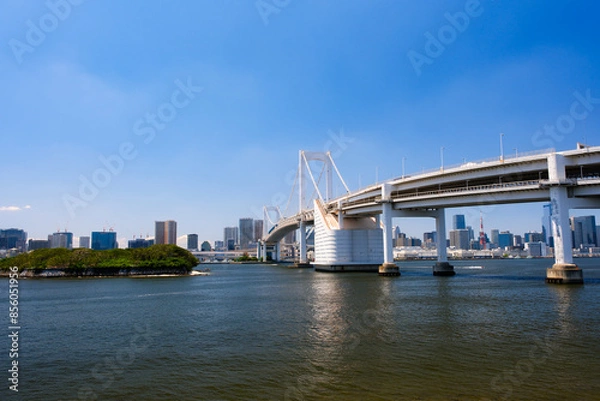 Fototapeta 東京都 台場公園から見えるレインボーブリッジ