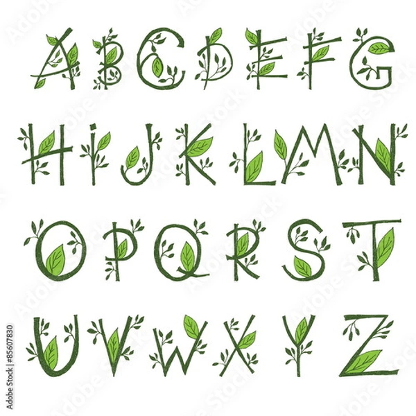 Obraz  illustration of  hand draw  font in the form of branches and le