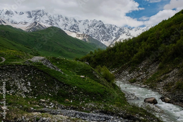 Obraz mountain river in the mountains
