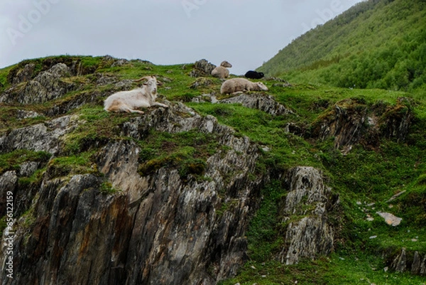 Obraz landscape in the mountains