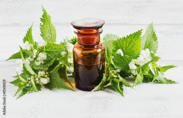 Obraz nettle essence oil