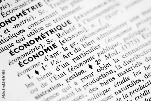 Obraz économie
