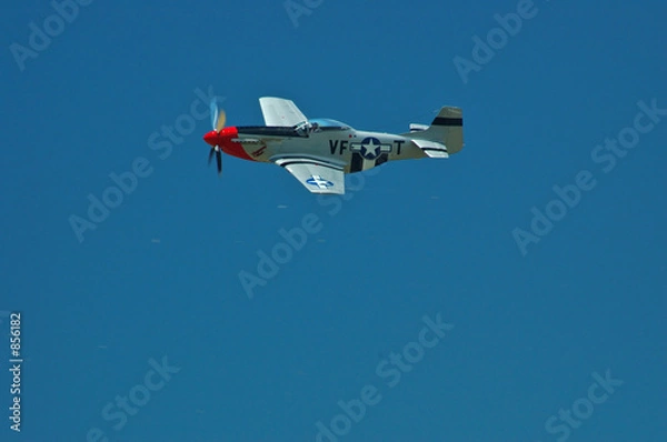 Obraz p-51 mustang