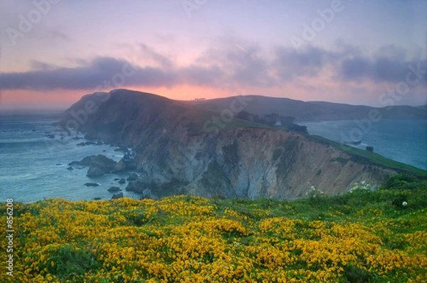 Fototapeta point reyes sunset