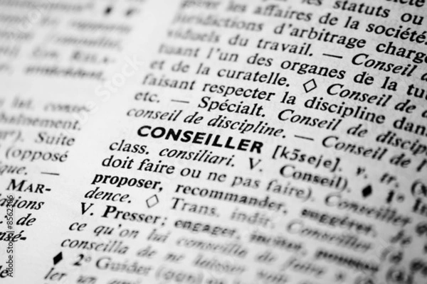Obraz conseiller