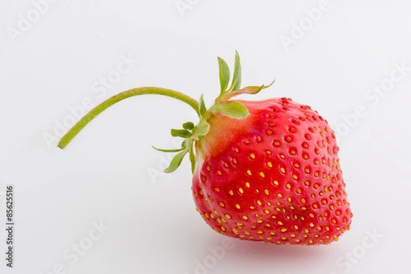 Obraz Hand Picked Fresh Strawberry