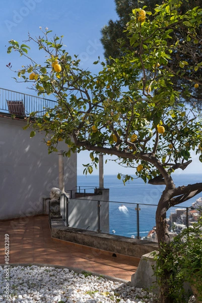 Fototapeta Lemon Tree with view of Positano