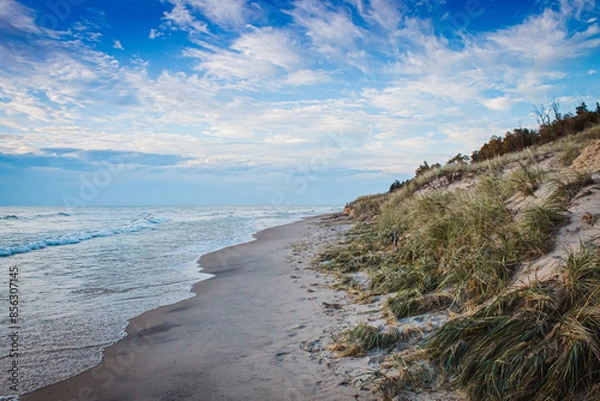 Fototapeta Lake Michigan Beach