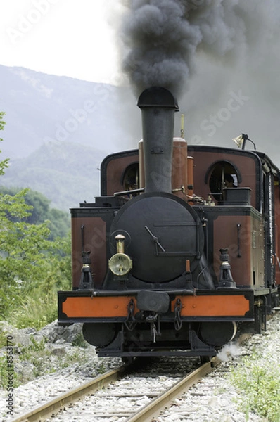 Fototapeta Steam Train