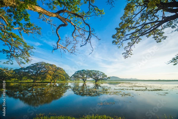 Fototapeta Lake in the morning at Kataragama, Sri Lanka