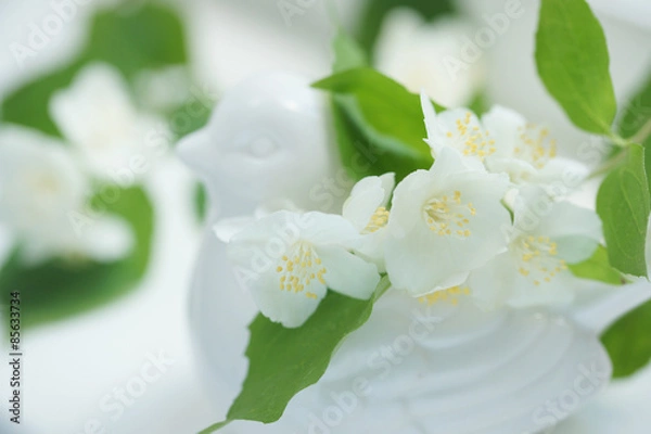 Fototapeta Жасмин