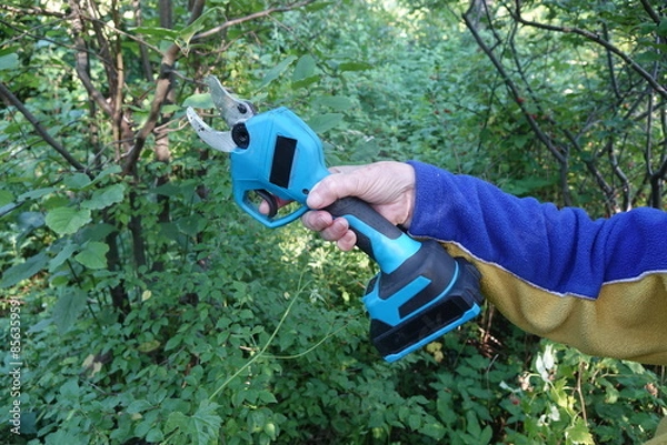 Fototapeta Pruning trees with electric pruning shears branch cutter automatic with battery to easyprune branches of trees. Gardening electric tool equipment.