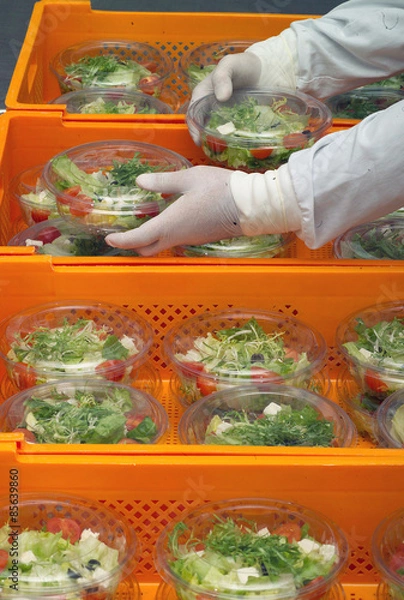 Obraz Salad production hygiene