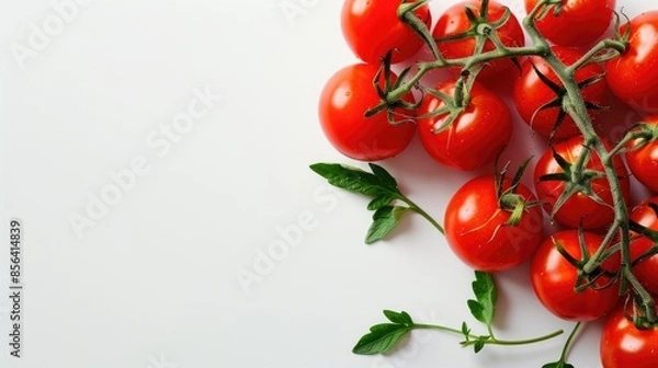 Fototapeta Tomatoes displayed against a white background with space for text
