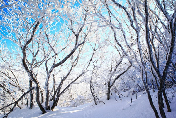 Fototapeta 덕유산 설경