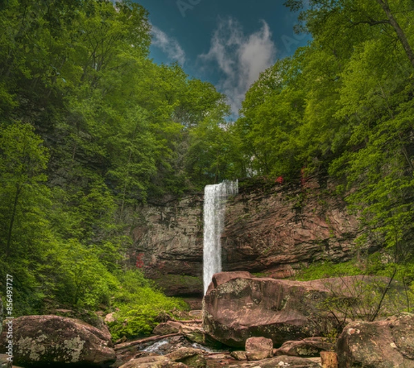 Fototapeta Tranquil Hemlock Falls in Cloudland Canyon
