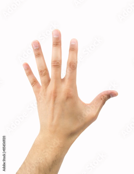 Fototapeta outstretched hand