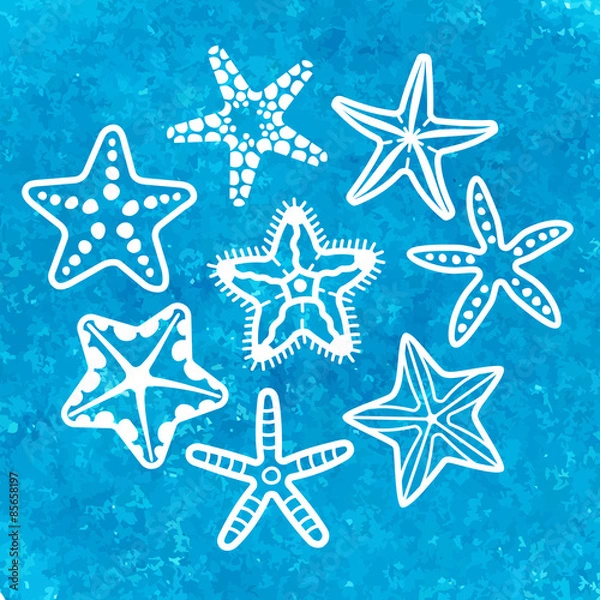 Fototapeta Vector collection of various sea starfish
