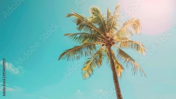 Fototapeta Palm tree standing tall on a sun-kissed tropical beach, clear blue sky overhead, summer vacation vibes, raw and detailed