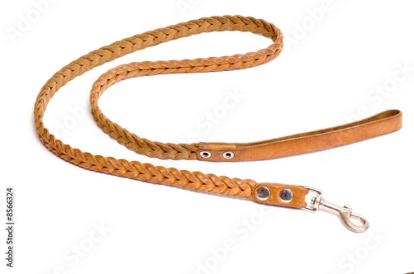Fototapeta Dog's leash
