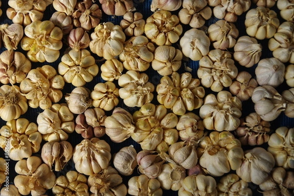 Fototapeta たくさんのニンニク