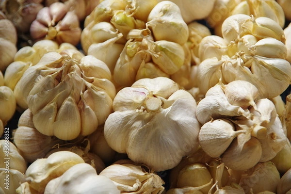 Fototapeta ニンニクのクローズアップ