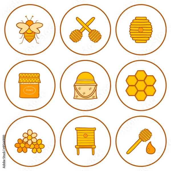 Fototapeta Set of hand drawn icons on beekeeping theme