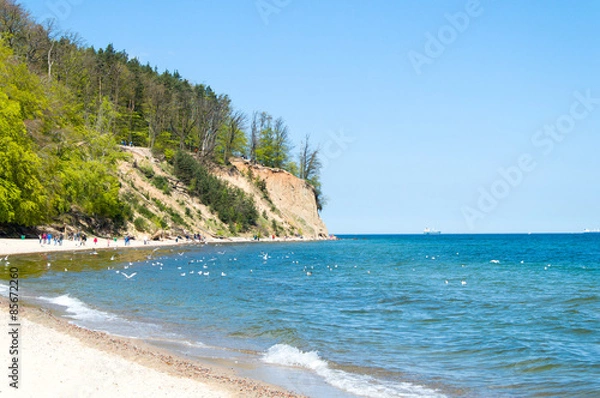 Fototapeta Cliff and beach  at Baltic sea at Gdynia Orlowo, Poland.