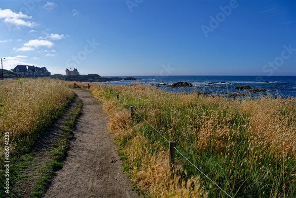 Obraz Sentier côtier entre Le Pouliguen et Le Croisic.