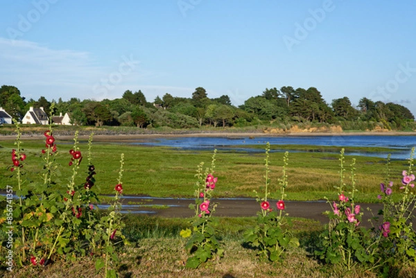 Obraz Côte bretonne à marée basse.