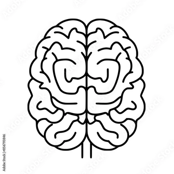 Fototapeta Brain SVG, Human Brain Svg,