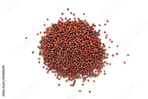 Obraz A close-up pile of organic Ragi (Eleusine coracana) or Finger Millet, isolated on a white background. Top view