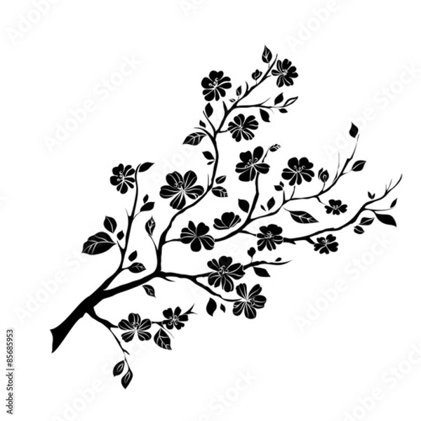Obraz Twig Cherry Blossoms