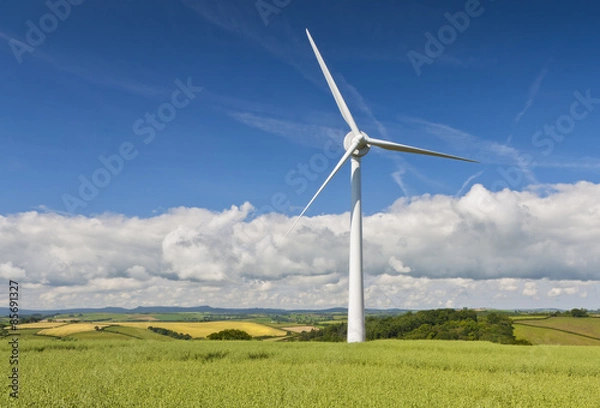Obraz A single win turbine sits above a Cornish town. A site on the increase in the English coutryside.