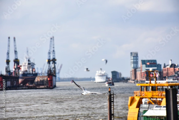 Obraz Hamburg x Harbor Seagulls