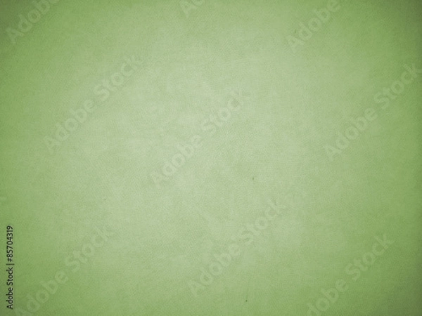 Fototapeta Vignette Green Background Texture as Frame with White Shade in The Middle