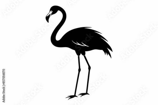 Fototapeta flamingo vector silhouette, Vector black flamingo silhouette, Black silhouette of tropical bird flamingo