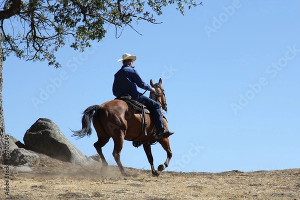 Obraz A cowboy riding his horse on a mountain into a big blue sky.