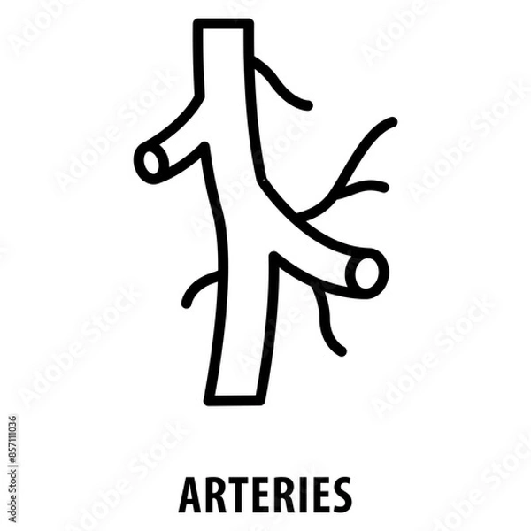 Fototapeta arteries Icon simple and easy to edit for your design elements